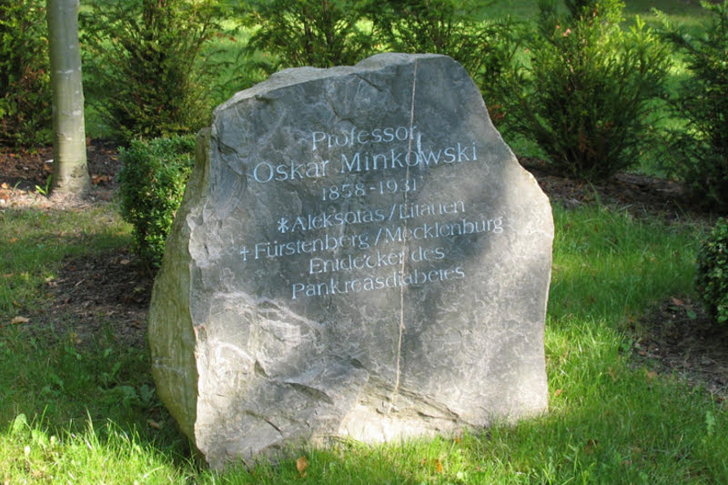 Gedenkstein für Professor Dr. Oskar Minkowsk | © Doris Antony | cc by SA 3.0 & GFDL
